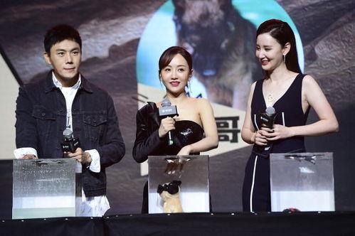 娱乐圈近期吃瓜合集,近期热点事件大盘点