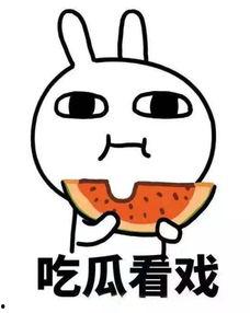 娱乐吃瓜抖音反差在线,娱乐反差在线，揭秘娱乐圈幕后真相